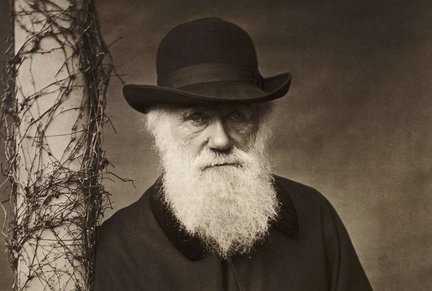 Biblioteca di Darwin