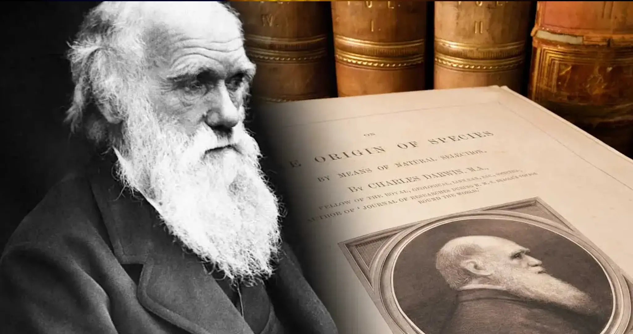 Biblioteca di Darwin