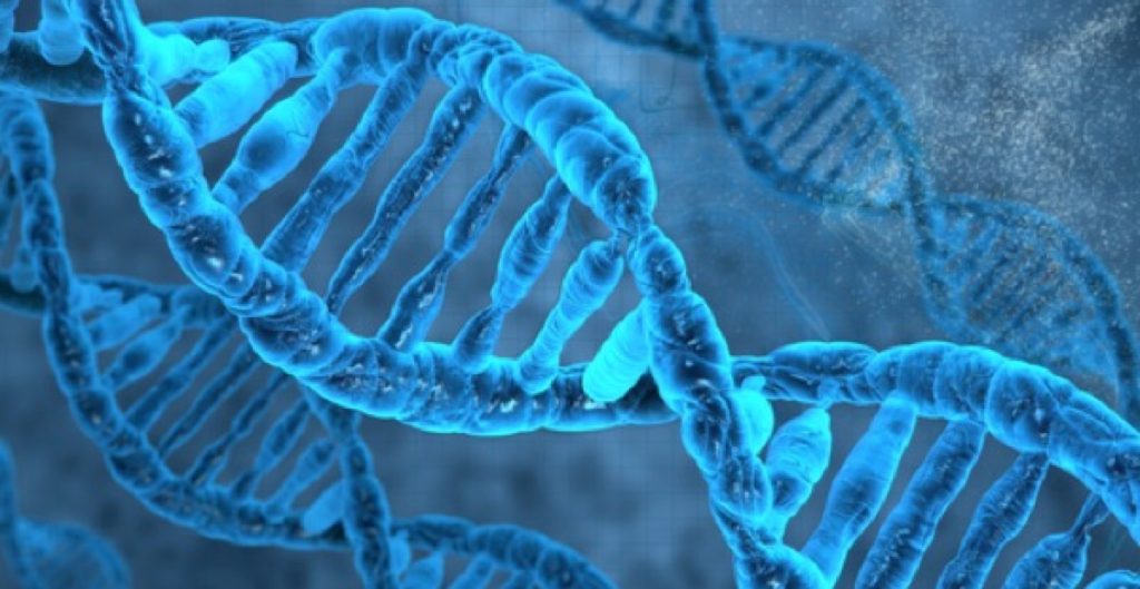 Le malattie autoimmuni, che colpiscono più di 23,5 milioni di persone in tutto il mondo, sono causate da una combinazione di fattori scatenanti genetici e ambientali