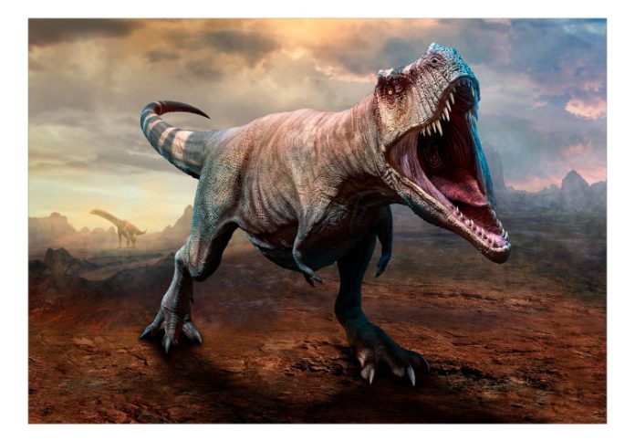 Tracce di dinosauri