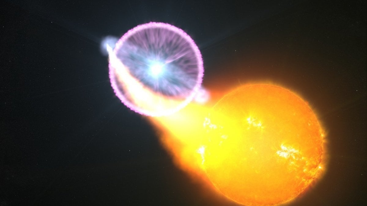 nova