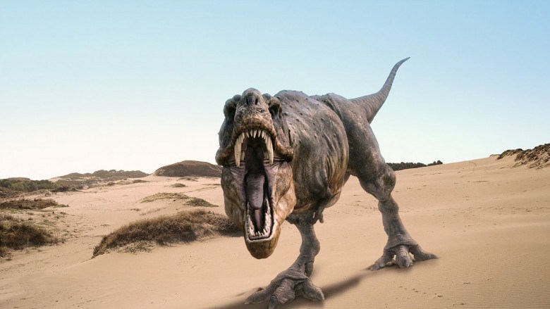 Tracce di dinosauri 