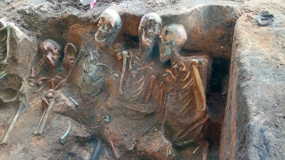 Rinvenute 8 fosse comuni con 1.000 vittime della peste 3 I corpi erano ammassati strettamente insieme in posizione seduta.(Credito immagine: In Terra Veritas)