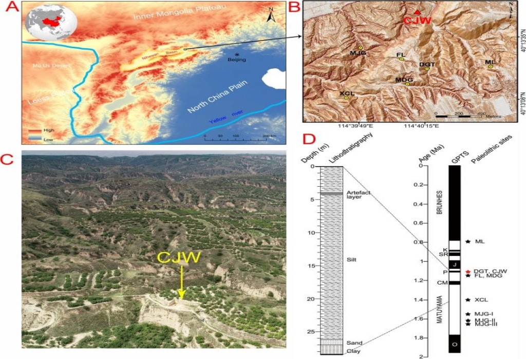 Sofisticati utensili di 1 milione di anni scoperti in Cina 3 Il sito CJW e la litologia del profilo CJW e la corrispondente scala temporale della polarità magnetica. Credito: IVPP