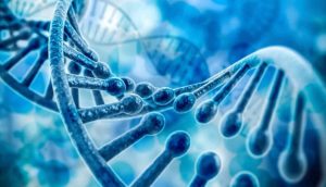 Origini della vita: risolto il mistero?, Heart-1 