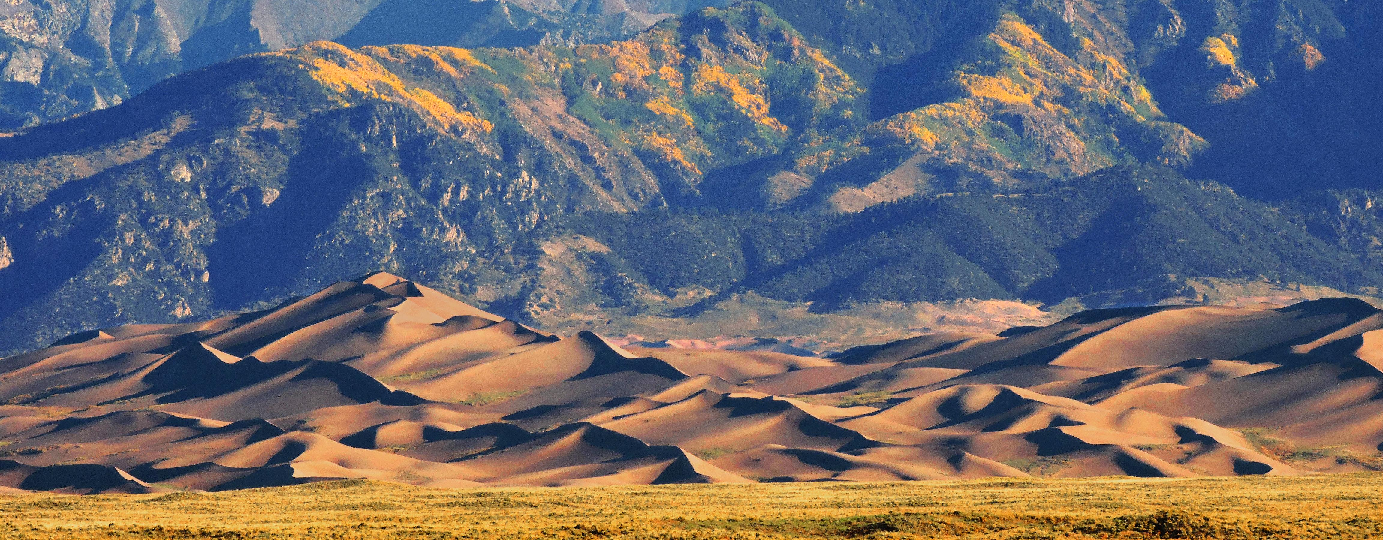 Dune stellari