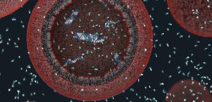 Protocellule