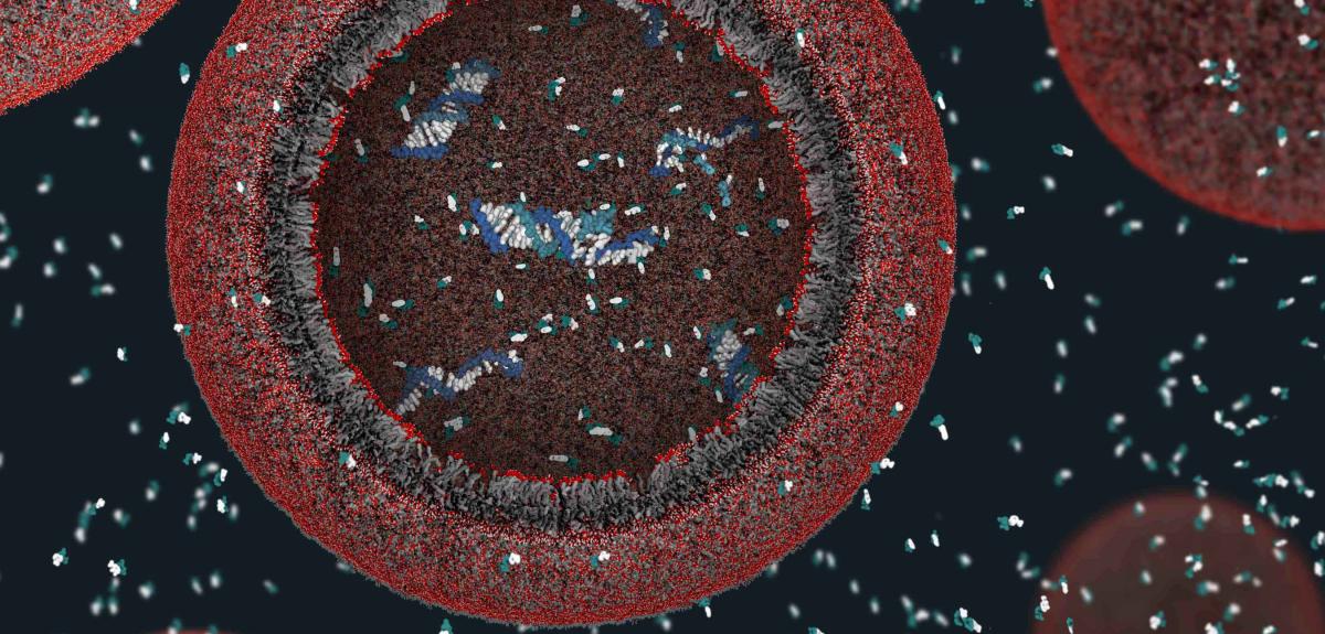 Protocellule