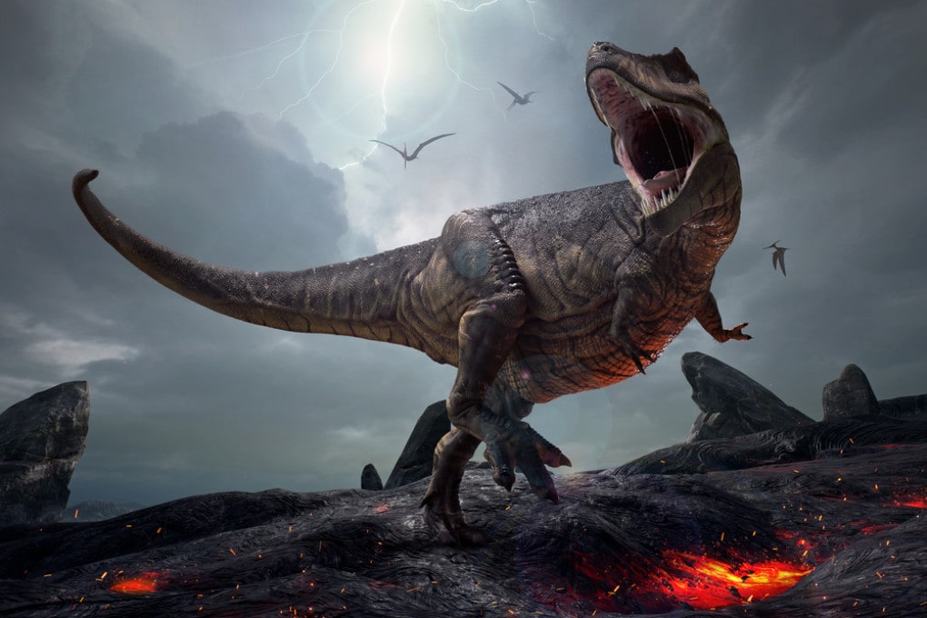 Tracce di dinosauri 