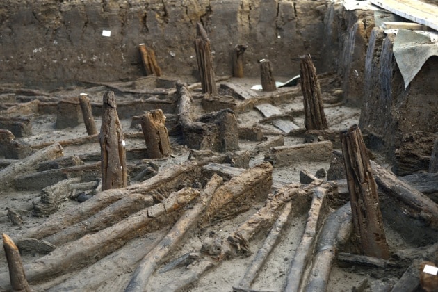 Pompei Britannica 