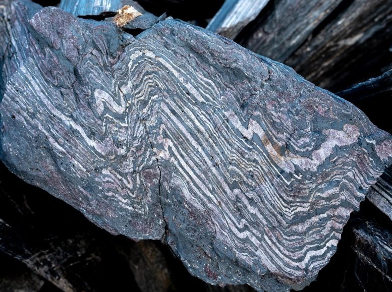 Campo magnetico terrestre: scoperta la sua intensità 3,7 miliardi di anni fa 3 Un esempio della formazione di ferro fasciato vecchia di 3,7 miliardi di anni che si trova nella parte nord-orientale della cintura sopracrustale di Isua. Credito: Claire Nichols