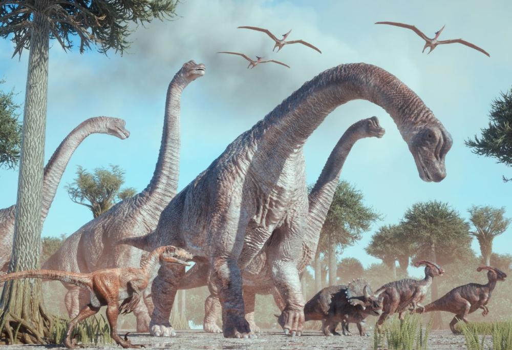 I coproliti svelano l'evoluzione dei dinosauri