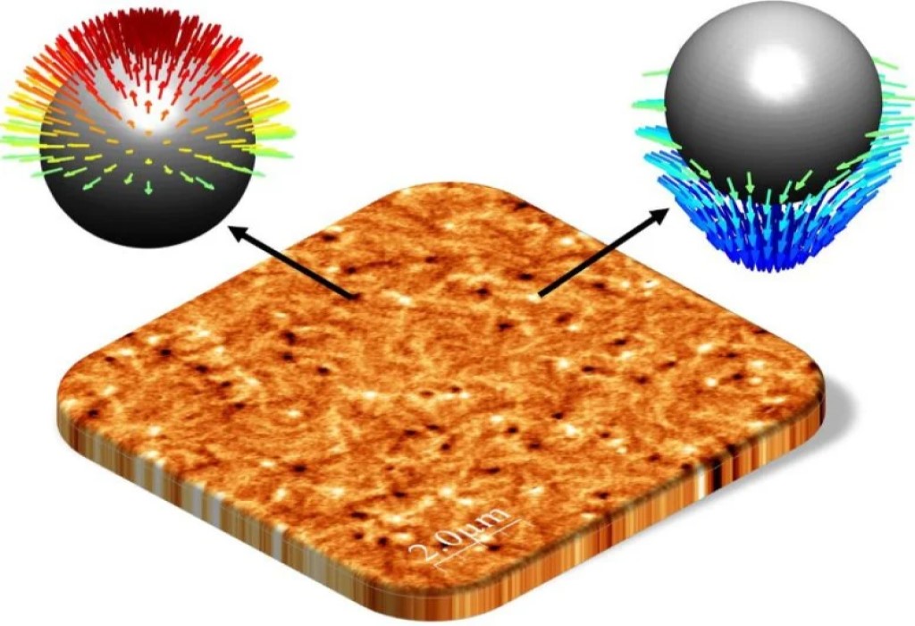 Meroni scoperti in antiferromagneti sintetici 2 Osservazione diretta di meroni e antimerioni antiferromagnetici. Credito: Mona Bhukta / JGU