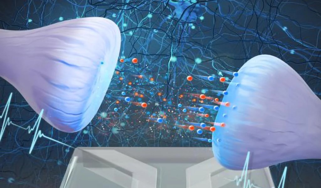 Creata una sinapsi artificiale con acqua e sale 1 Di seguito è riportata una rappresentazione grafica della sinapsi artificiale. Essai è costituita da sfere colloidali con nanocanali tra di loro. Credito: Università di Utrecht