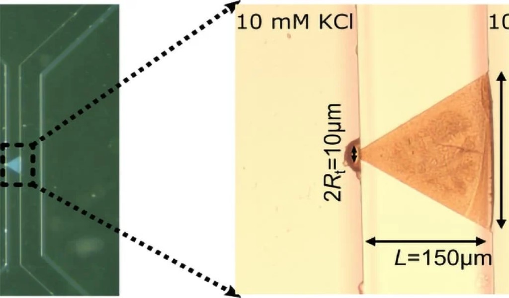 Creata una sinapsi artificiale con acqua e sale 3 Immagine microscopica della sinapsi artificiale. Credito: Università di Utrecht