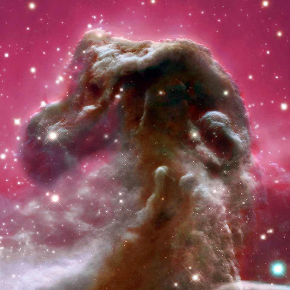 Nebulosa Testa di Cavallo