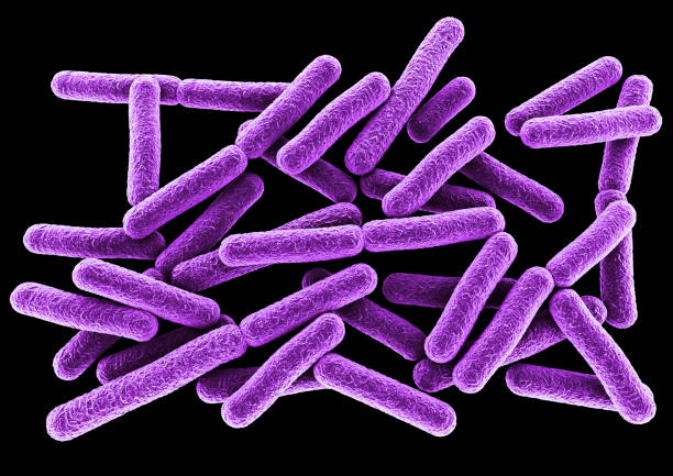 Batteri viola come biomarcatori alieni? 1 batteri viola