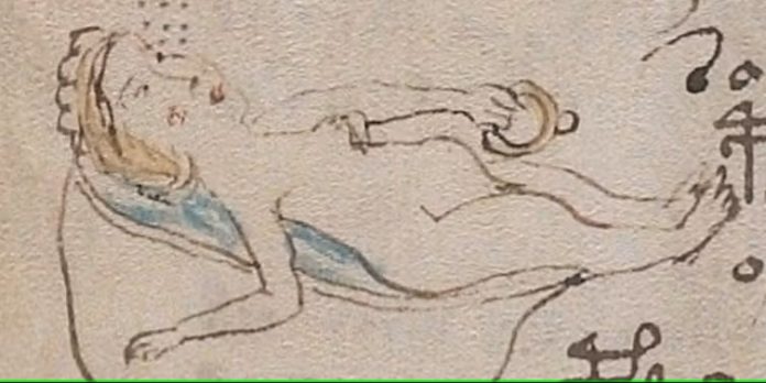 Manoscritto Voynich: forse individuata una chiave per decodificarlo
