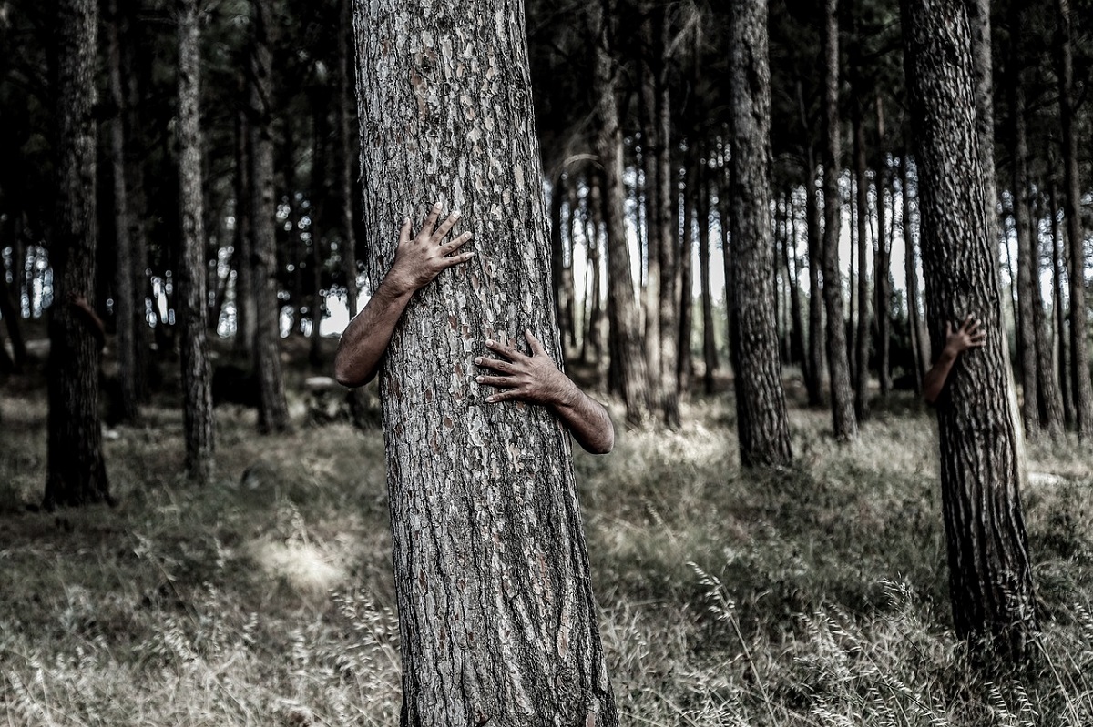 Scudo dell'invisibilità