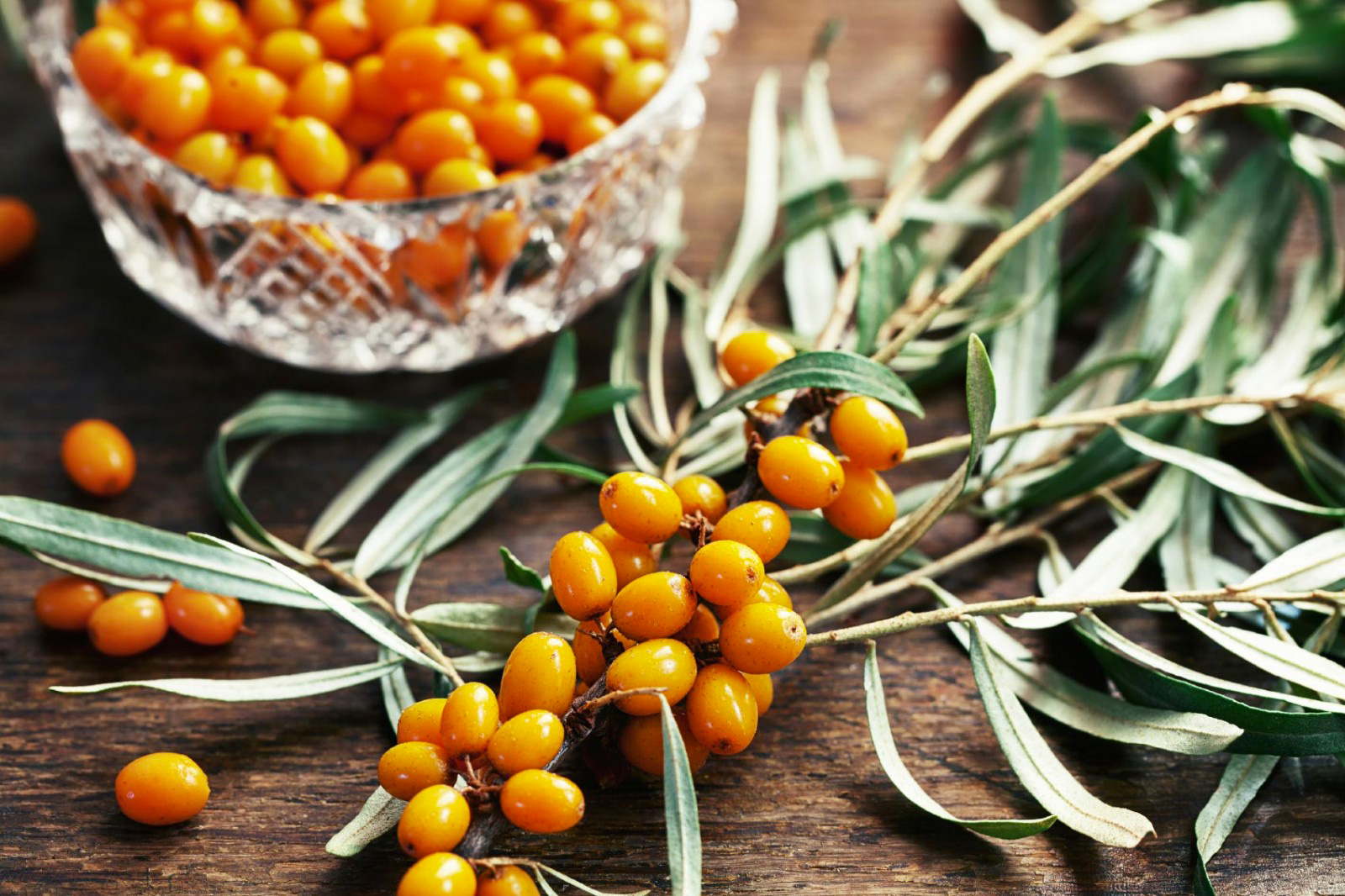 Bacche di olivello spinoso