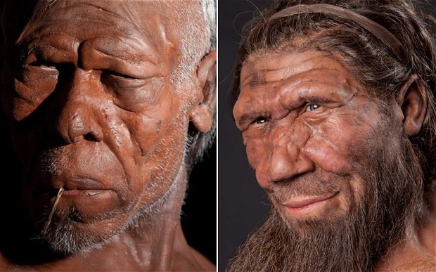 Neanderthal e homo sapiens 