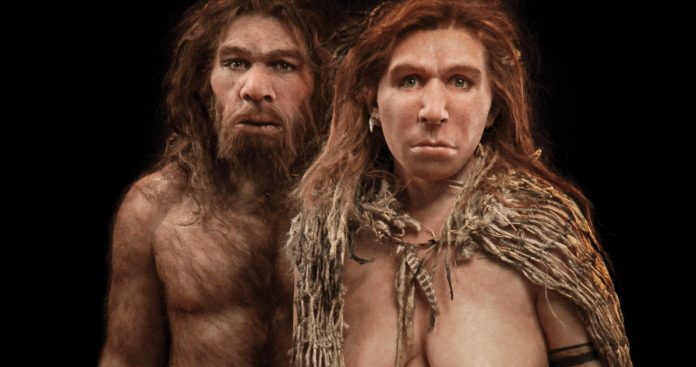 Neanderthal e homo sapiens