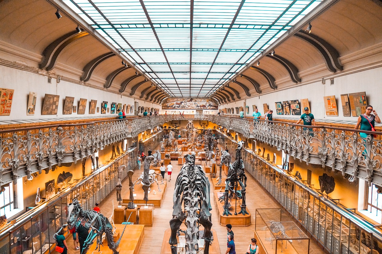 dinosauri