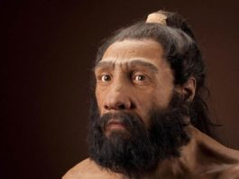Neanderthal e homo sapiens