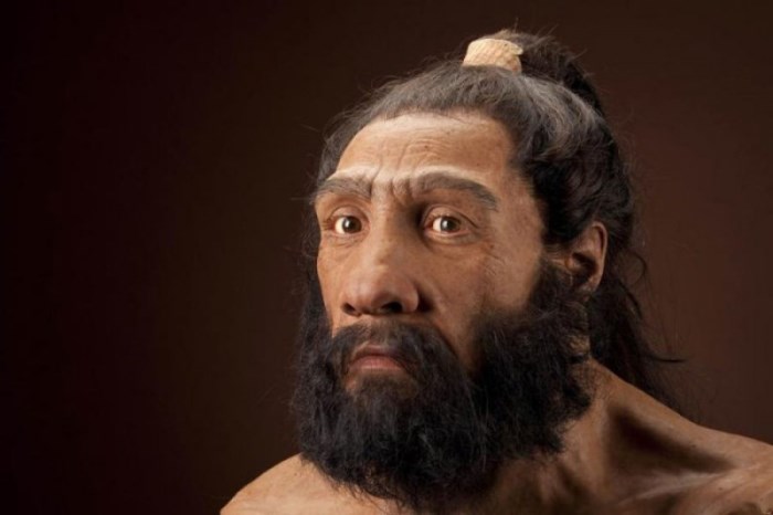 Neanderthal e homo sapiens 