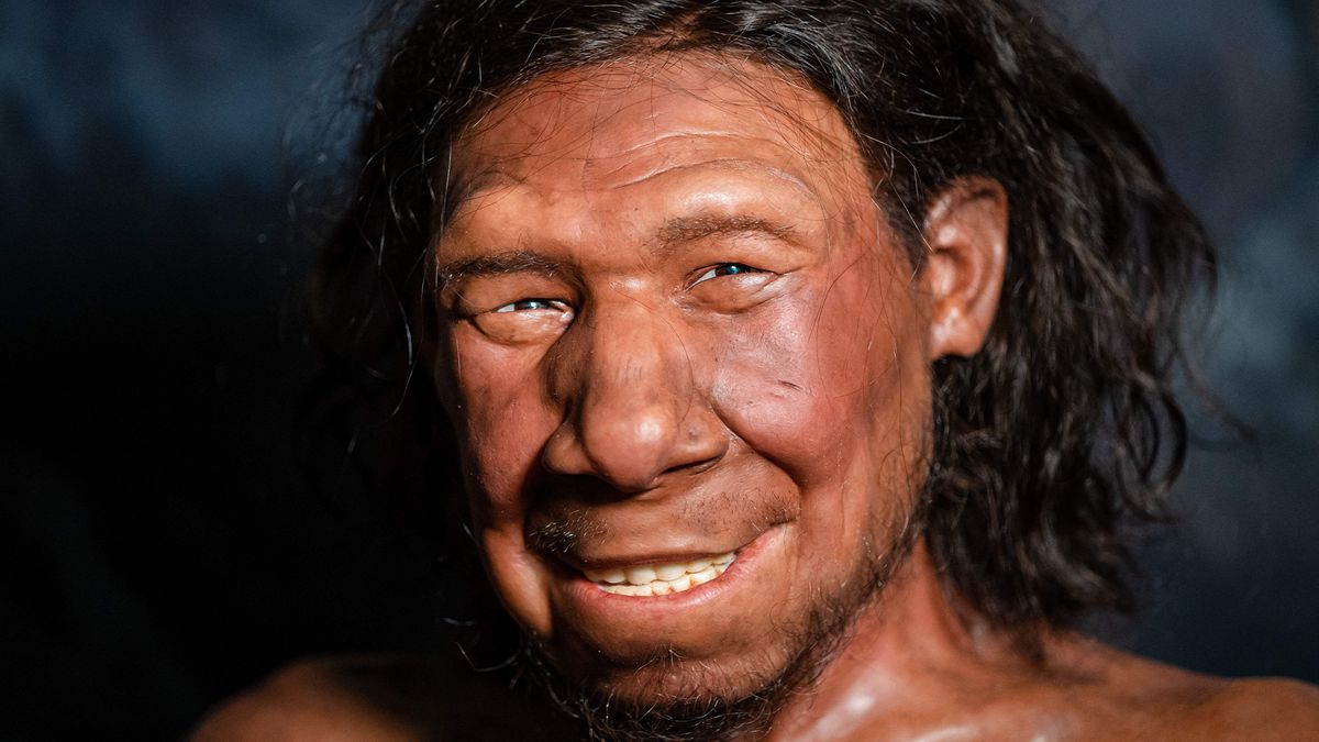 Neanderthal e homo sapiens 