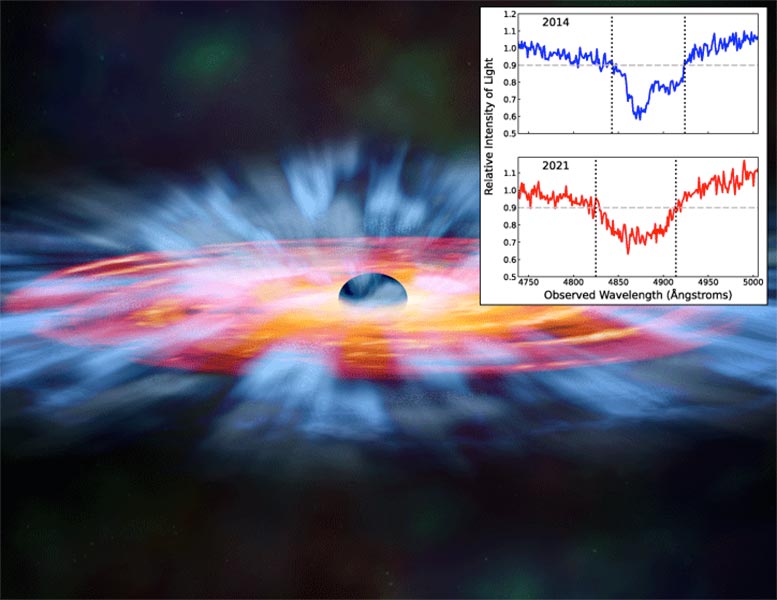 Buchi neri: come i venti cosmici modellano la nascita delle stelle 1 Rappresentazione artistica di un vento quasar (in azzurro) lanciato dal disco di accrescimento (rosso-arancione) attorno a un buco nero supermassiccio. Nel riquadro a destra ci sono due spettri del quasar SBS 1408+544, che mostrano lo spostamento verso sinistra della luce assorbita che ha rivelato l'accelerazione del gas spinto dai venti del quasar. Credito: NASA/CXC/M. Weiss, Catherine Grier e la collaborazione SDSS