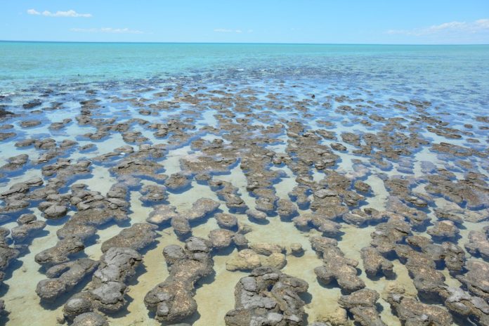 Grande evento di ossidazione: l’aumento dell’ossigeno atmosferico e oceanico è durato 200 milioni di anni