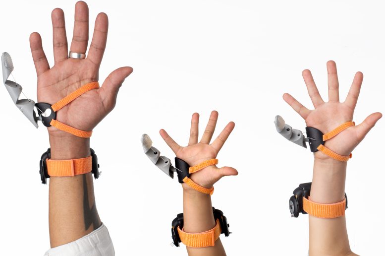 Terzo pollice robotico: nuovo strumento per potenziare le capacità umane 2 Il Terzo Pollice indossato da diversi utenti. Credito: Dani Clode Design / The Plasticity Lab