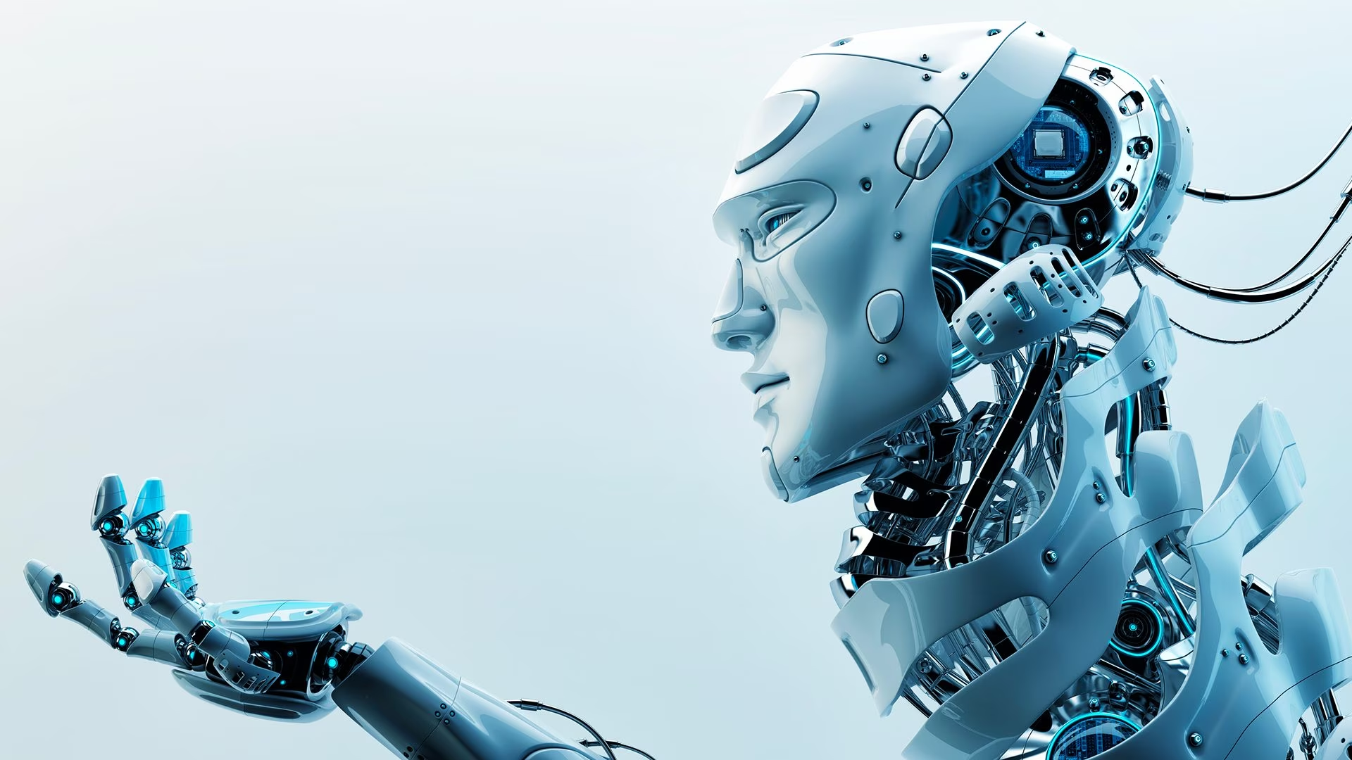 Reverse Turing Test