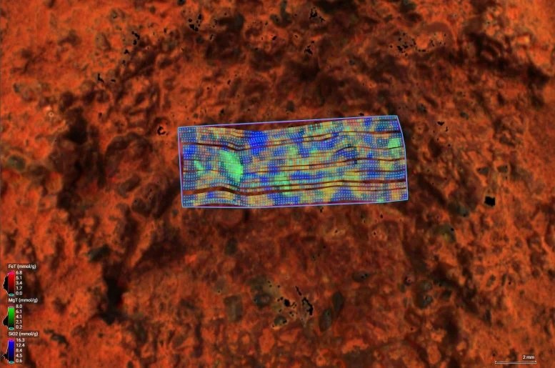 Marte: l'AI potrebbe rivelarci se c'è vita 1 Questa immagine di un bersaglio roccioso soprannominato "Thunderbolt Peak" è stata creata dal rover Perseverance Mars della NASA utilizzando PIXL, che determina la composizione minerale delle rocce sottoponendole a raggi X. Ogni punto blu nell'immagine rappresenta un punto colpito da raggi X. Credito: NASA/JPL-Caltech/DTU/QUT