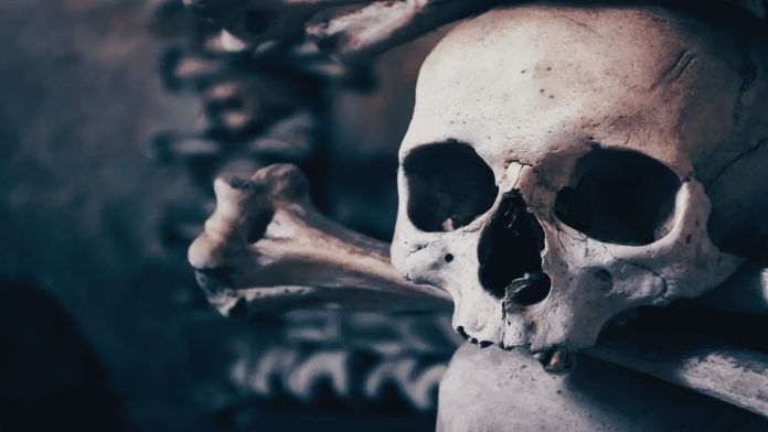 Homo juluensis: la scoperta dell'ominino dà una nuova prospettiva sull'origine dell'Homo sapiens