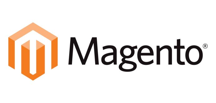 Servizi Gestiti Magento su MGT-Commerce: Supporto Completo per Aziende in Crescita