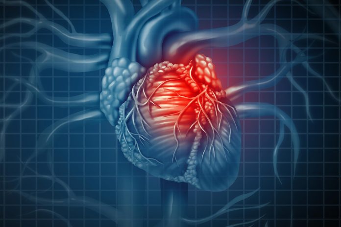 β-CG: Il segreto della soia per un cuore sano