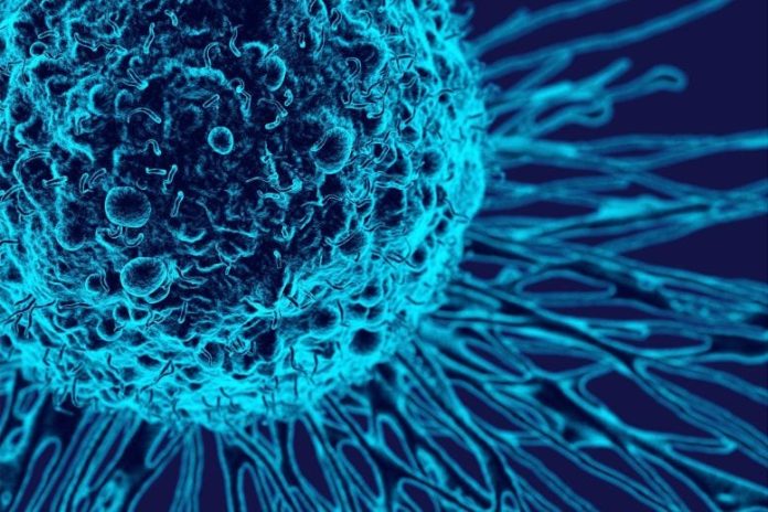 Cancro, terapia personalizzata: un nuovo approccio grazie alle nanoparticelle