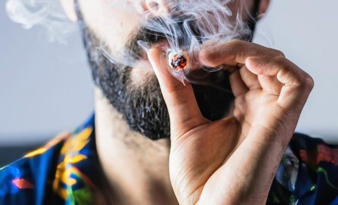 Cannabis e memoria: un legame pericoloso con conseguenze durature
