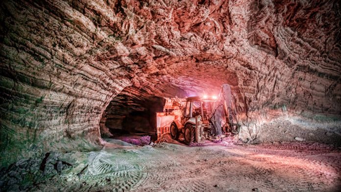 Biodiversità nascosta: la vita che pulsa nel sottosuolo