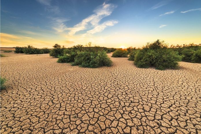 Il crescente pericolo delle siccità pluriennali