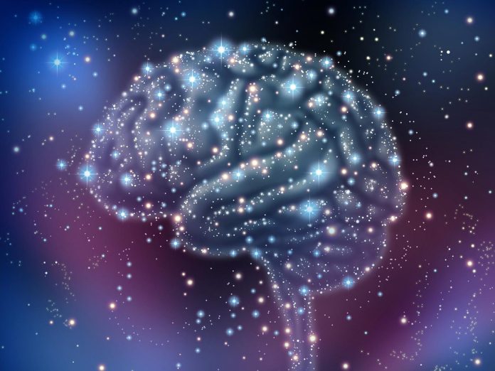 Coscienza animale: un nuovo metodo che apre un dialogo