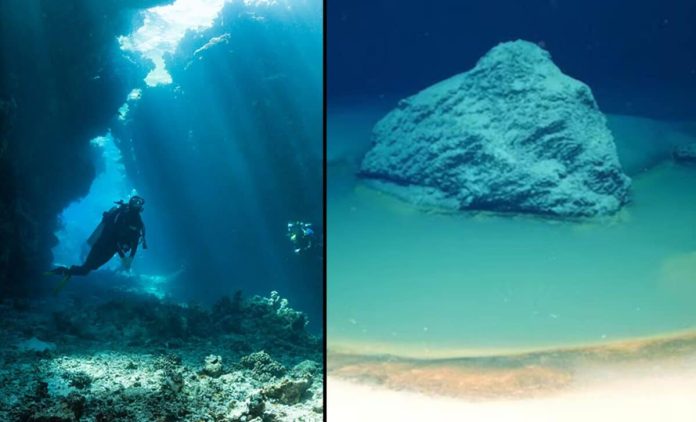 Rintracciate nel Mar Rosso trappole mortali naturali riconducibili a forme di vita extraterrestre