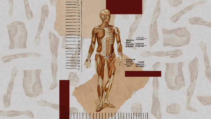 Bodyoid: un progresso scientifico o un dilemma etico?