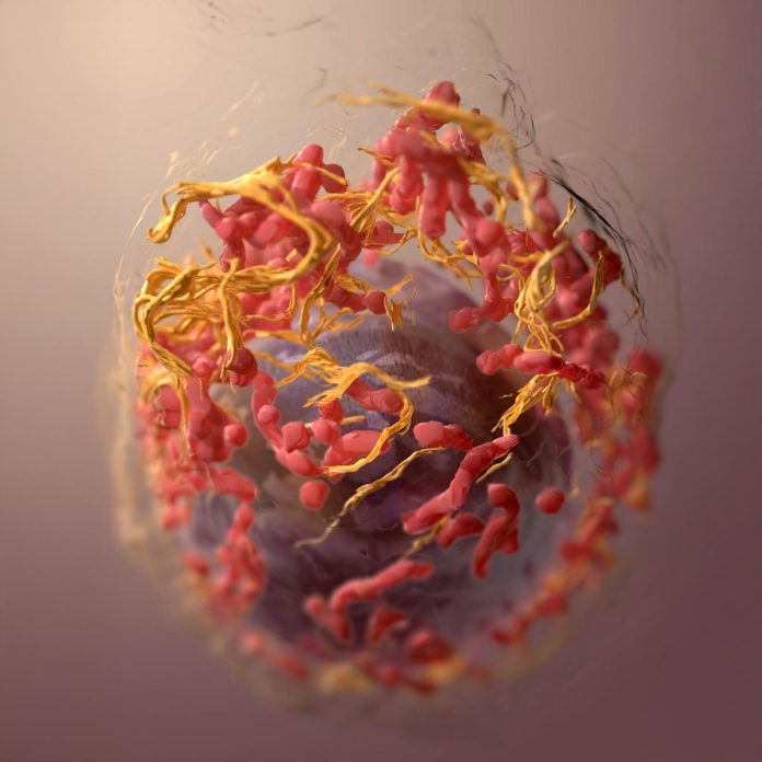 Teoria genetica del cancro: è veramente la strada da seguire?