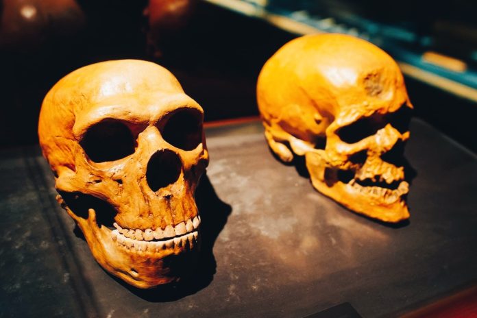 La genetica dei nostri antenati ha svelato un'origine complessa