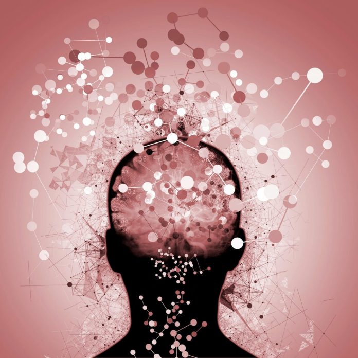 Acido carnosico: verso una terapia innovativa per l'Alzheimer
