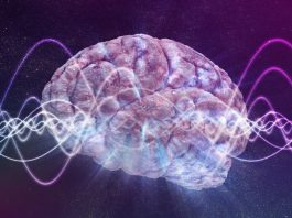 Coscienza oltre il cervello: una nuova visione della realtà