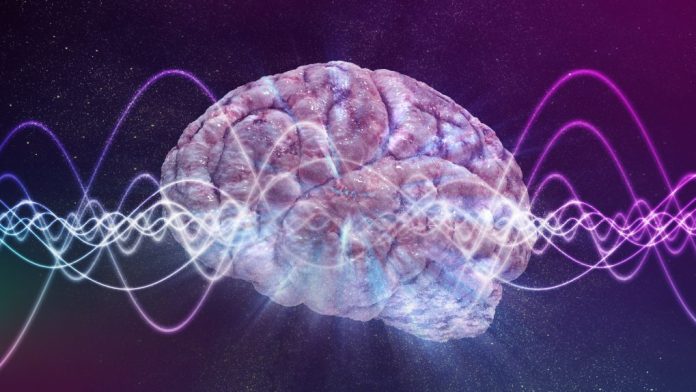 Coscienza oltre il cervello: una nuova visione della realtà